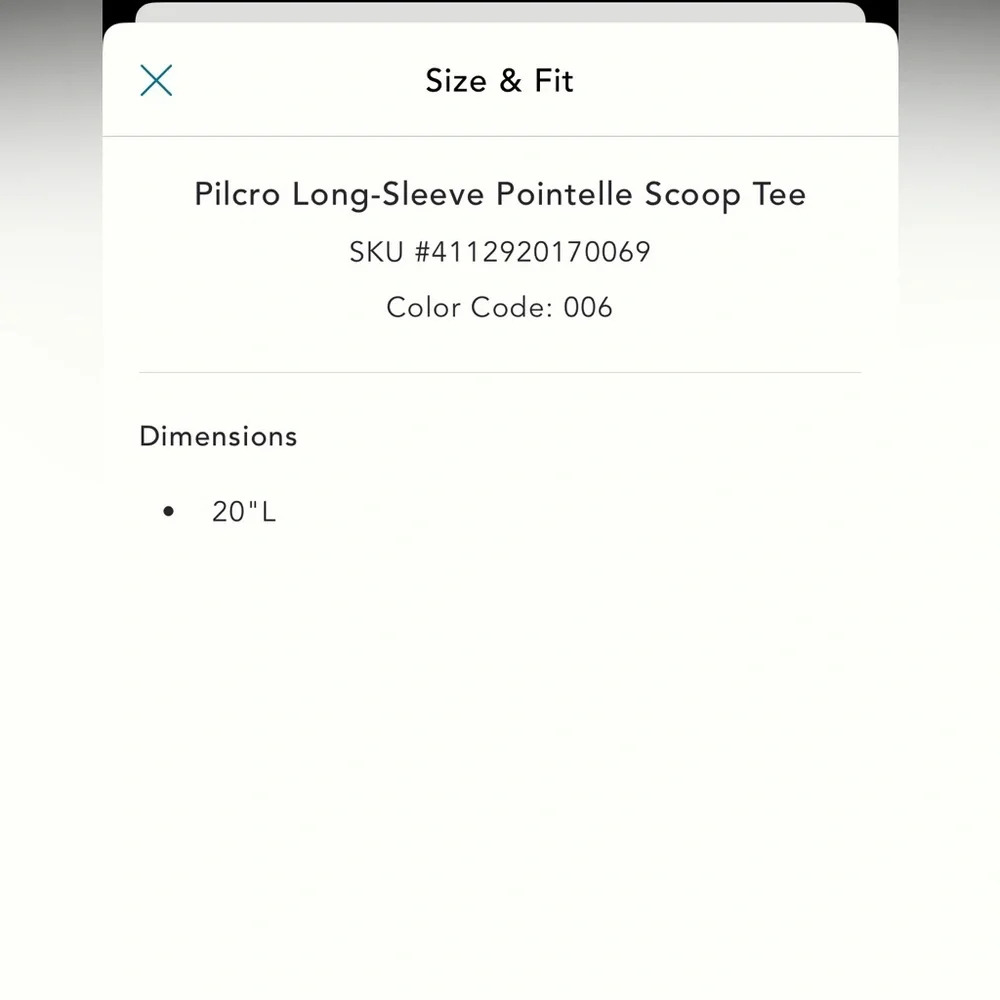Anthropologie Pilcro Long-Sleeve Pointelle Scoop Tree - XL - Picture 6 of 9